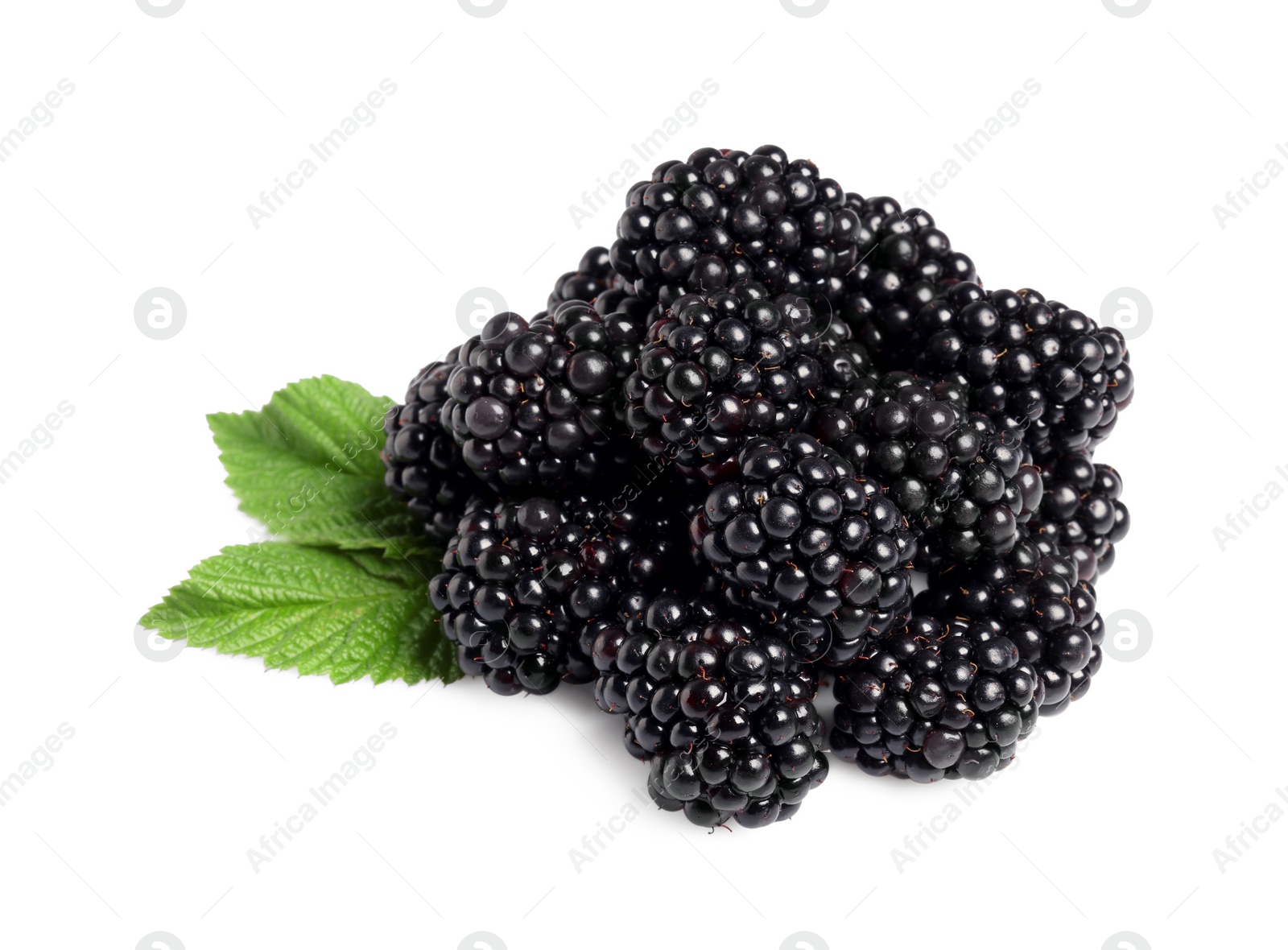 Photo of Pile of ripe blackberries with green leaves isolated on white