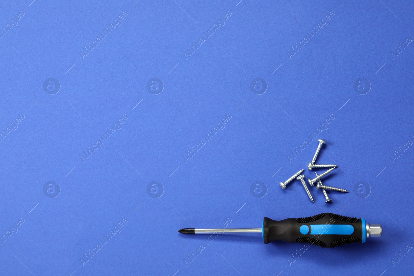 Photo of Screwdriver with black handle and screws on blue background, flat lay. Space for text