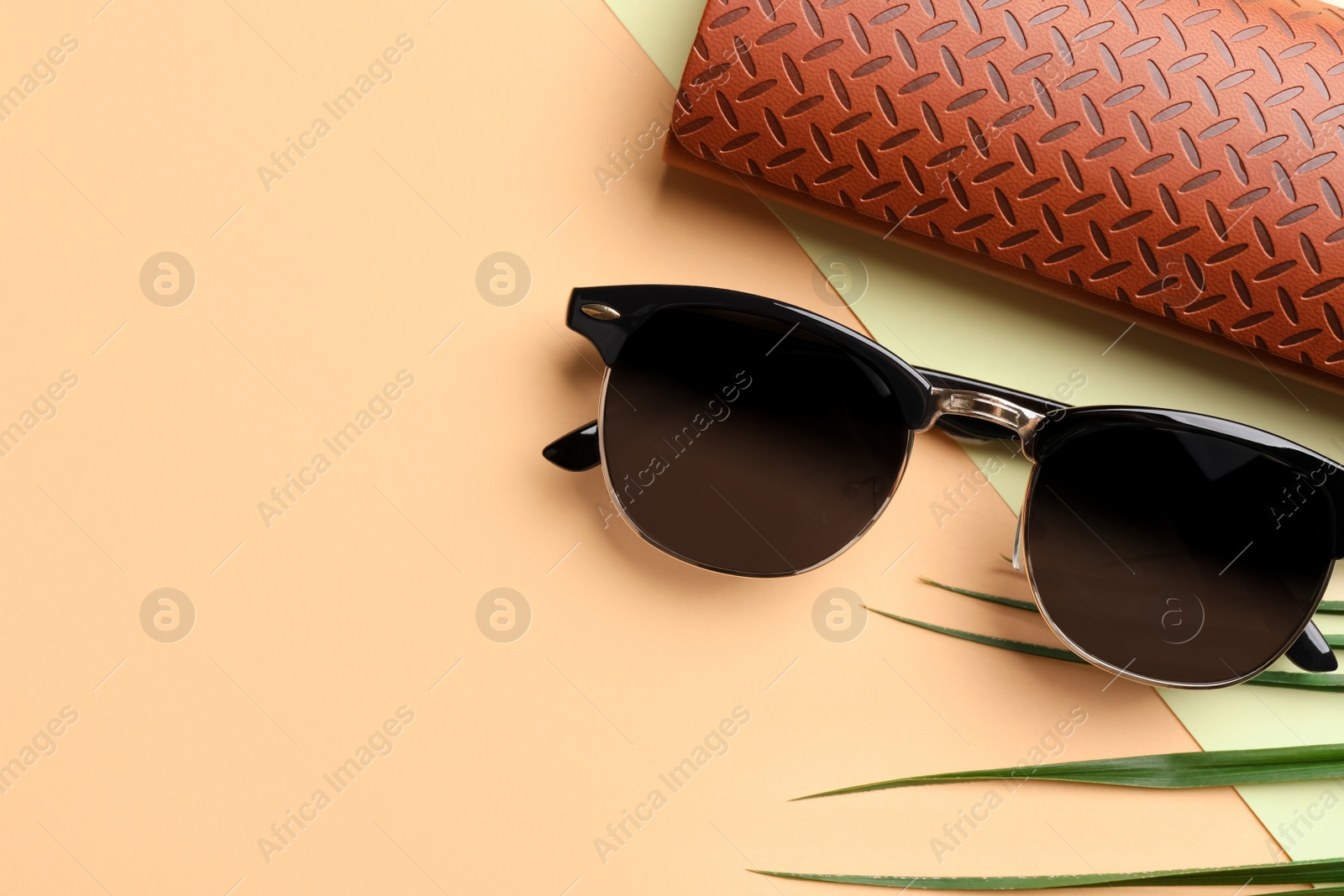 Photo of Stylish sunglasses and brown leather case with pattern on beige background, top view. Space for text
