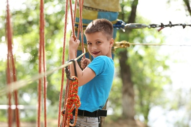 Little boy climbing in adventure park. Summer camp