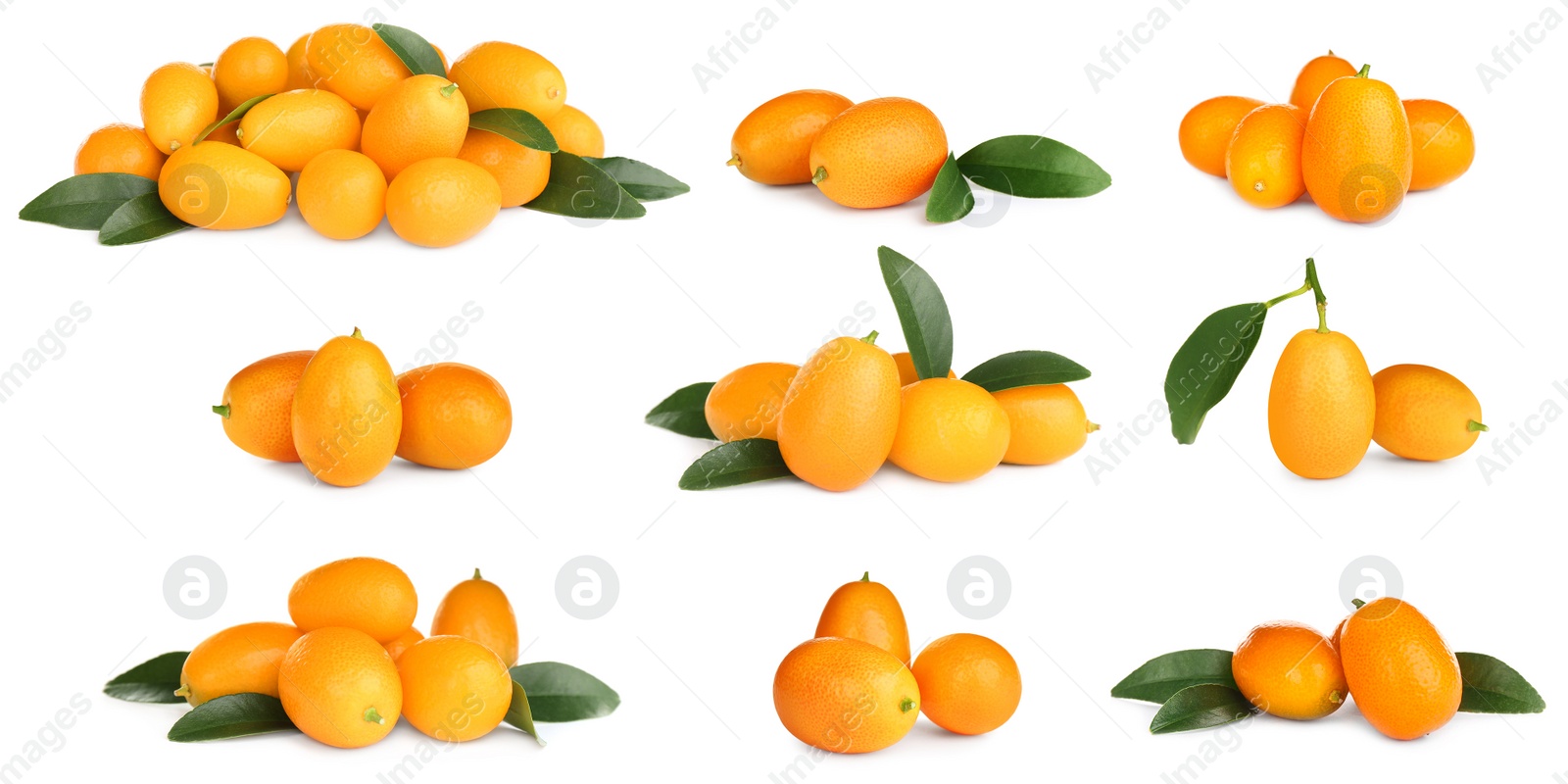 Image of Set with fresh ripe kumquat fruits on white background. Banner design