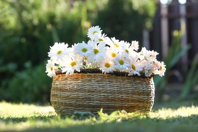 Photo of Beautiful wild flowers in wicker basket on green grass outdoors