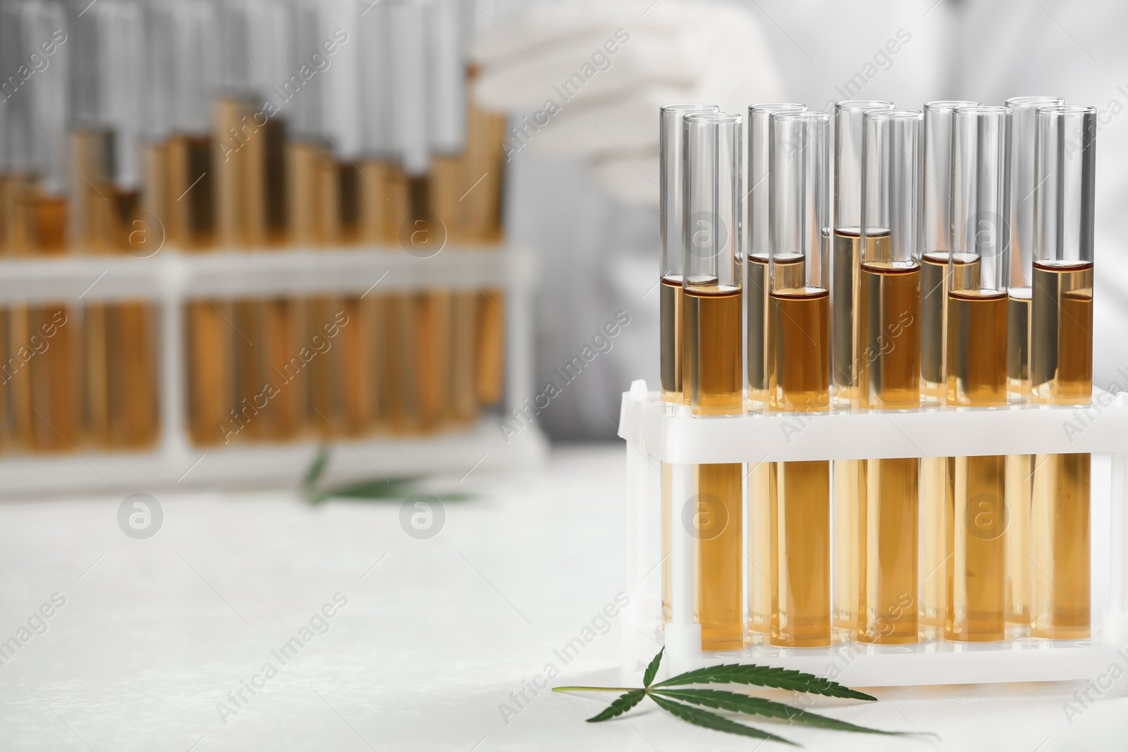 Photo of Test tubes with urine samples, hemp leaf and blurred doctor on background