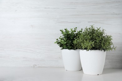 Aromatic rosemary and oregano growing in pots on white wooden table, space for text
