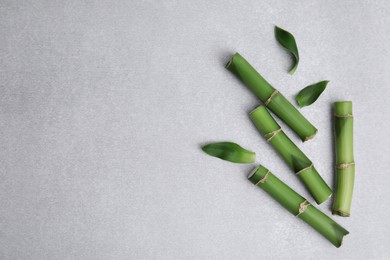 Photo of Pieces of beautiful green bamboo stems on light table, flat lay. Space for text