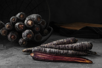 Fresh raw black carrots on grey table