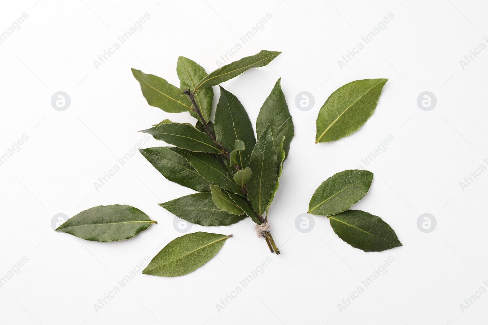 Photo of Aromatic fresh bay leaves on white background, flat lay