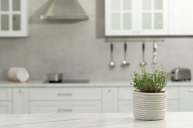 Beautiful potted microgreen on white table in kitchen, space for text