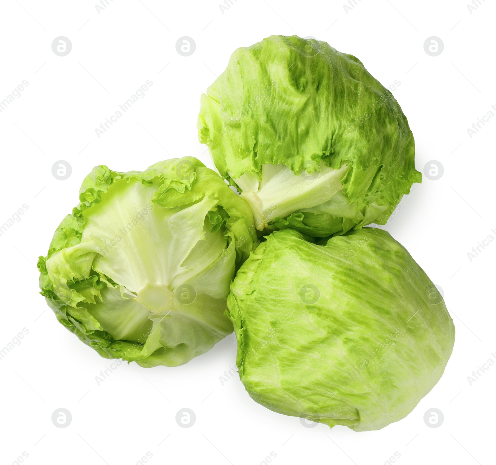 Photo of Fresh green iceberg lettuces isolated on white, top view