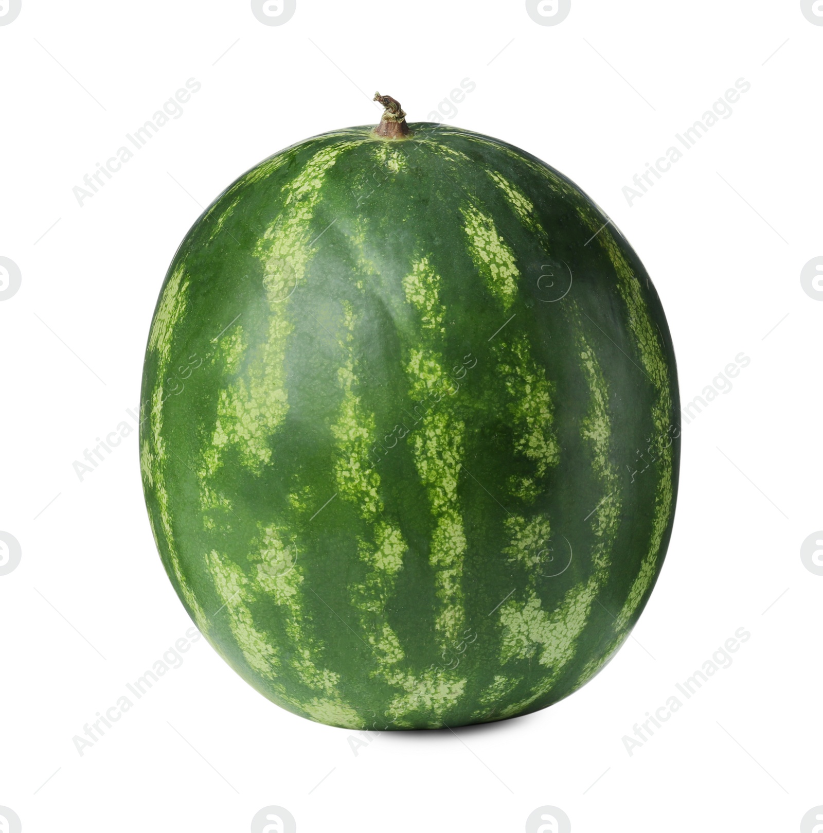 Photo of One whole ripe watermelon isolated on white