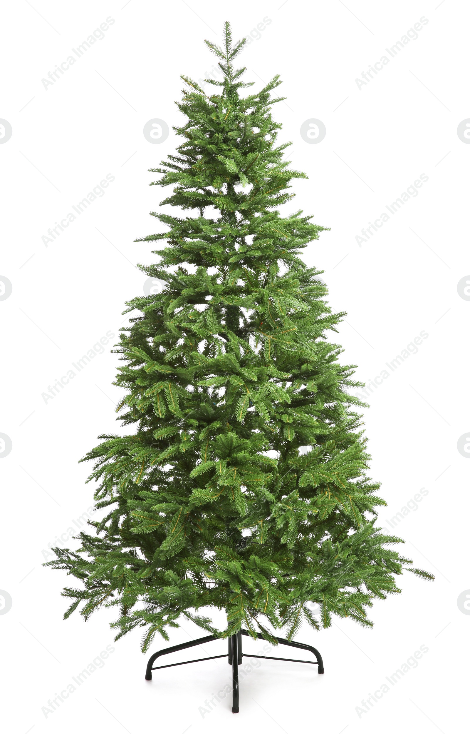 Photo of Green Christmas tree on white background