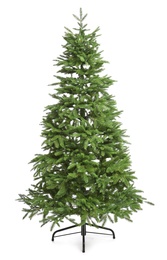 Green Christmas tree on white background