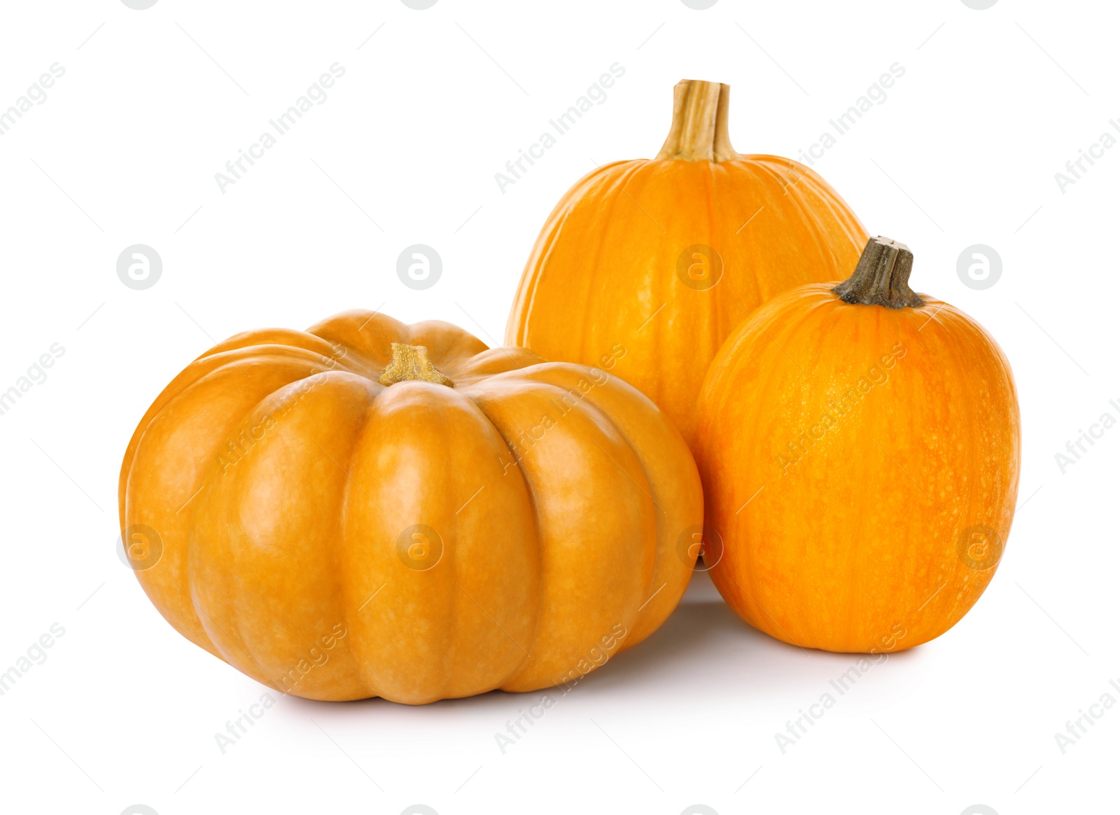 Photo of Fresh ripe orange pumpkins on white background