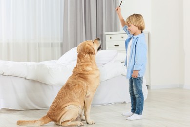 Cute little child training Golden Retriever at home. Adorable pet