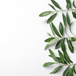 Photo of Twigs with fresh green olive leaves and space for text on white background, top view