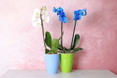 Photo of Beautiful tropical orchid flowers in pots on table near color wall