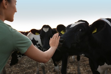 Photo of Young woman stroking cow on farm, closeup. Animal husbandry
