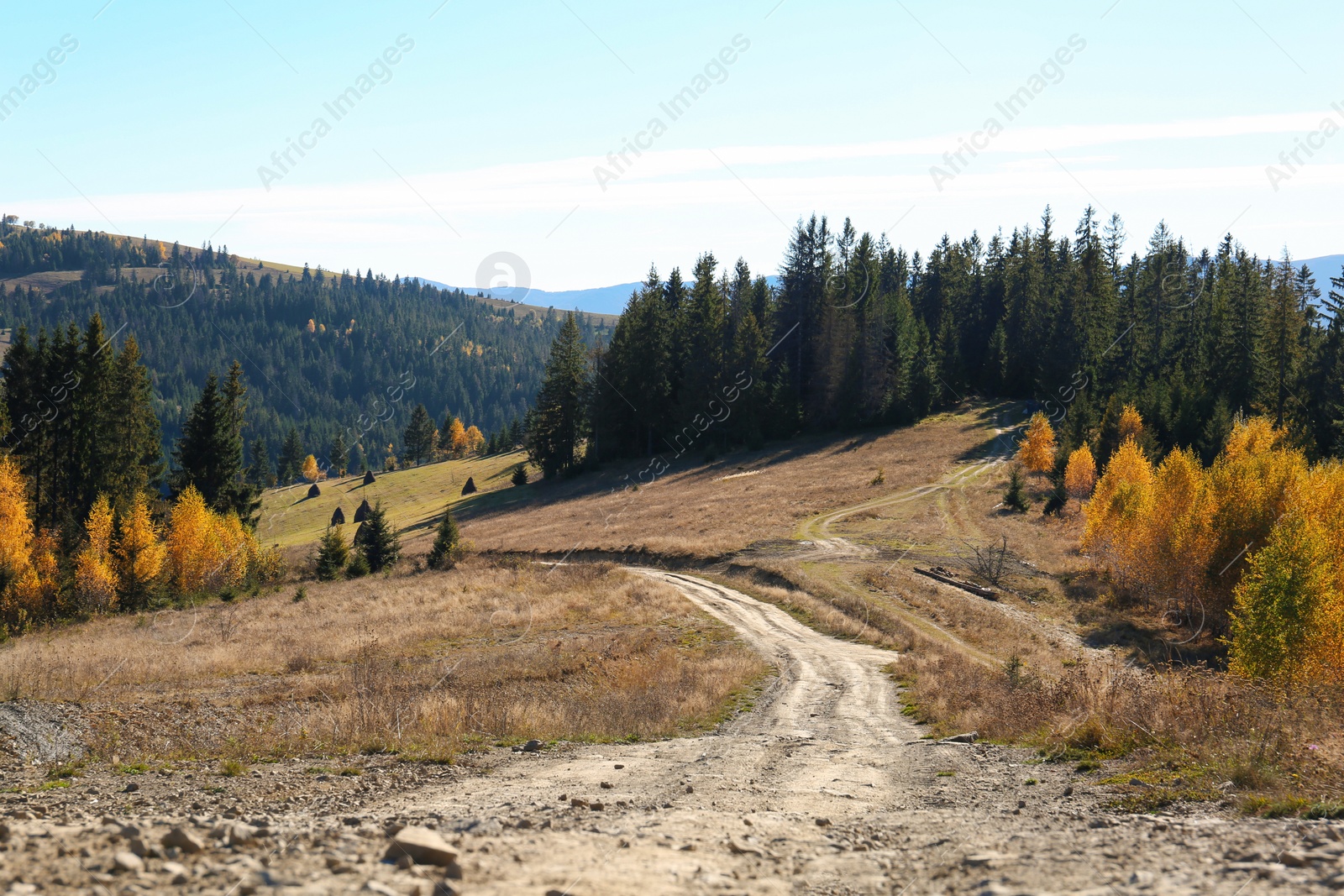 Photo of Picturesque landscape with trail, forest and mountains