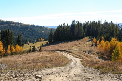 Picturesque landscape with trail, forest and mountains