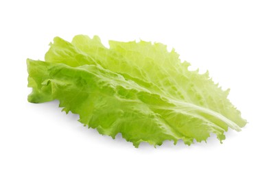 Photo of Leaf of fresh lettuce for burger isolated on white