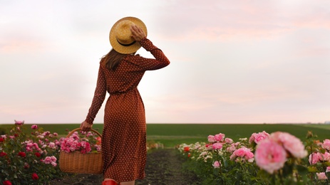 Woman with basket of roses in beautiful blooming field