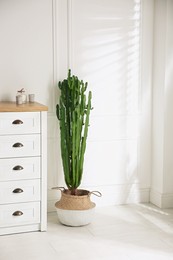 Photo of Stylish room with beautiful potted cactus. Interior design