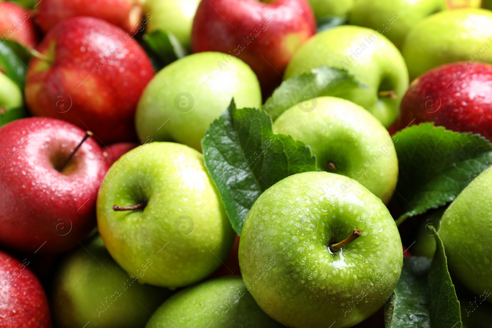 Photo of Pile of wet apples with leaves as background, closeup