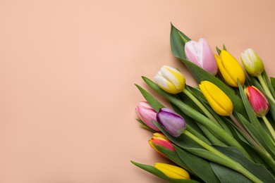 Beautiful colorful tulips on pale pink background, flat lay. Space for text