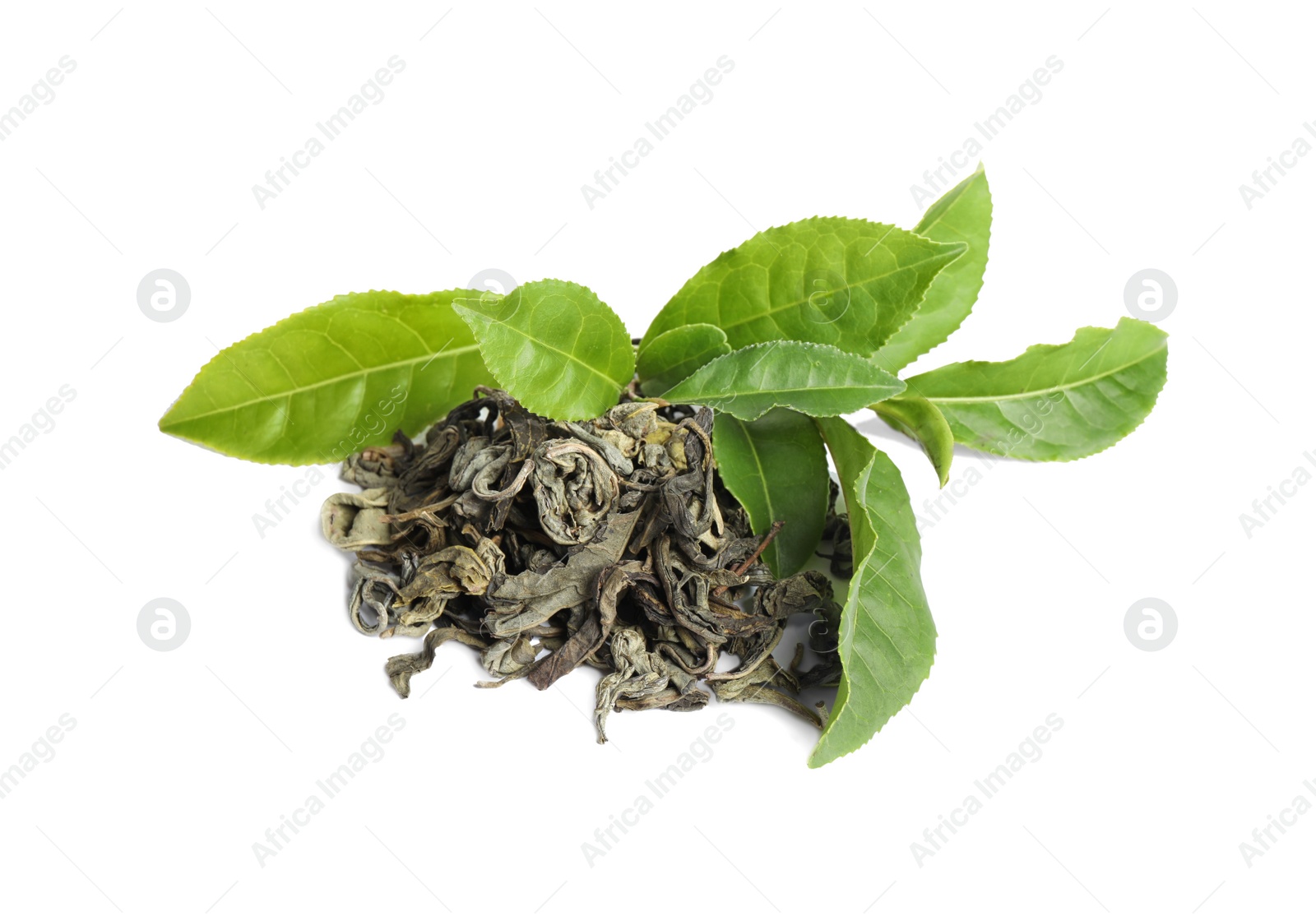 Photo of Dry and fresh tea leaves isolated on white