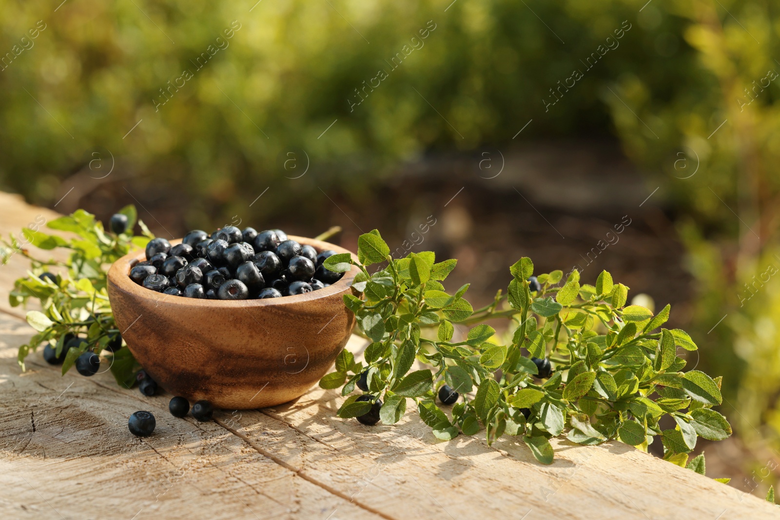 Photo of Bowl of bilberries and green twigs with ripe berries on wooden table outdoors