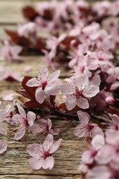 Spring branch with beautiful blossoms and leaves on wooden table, closeup