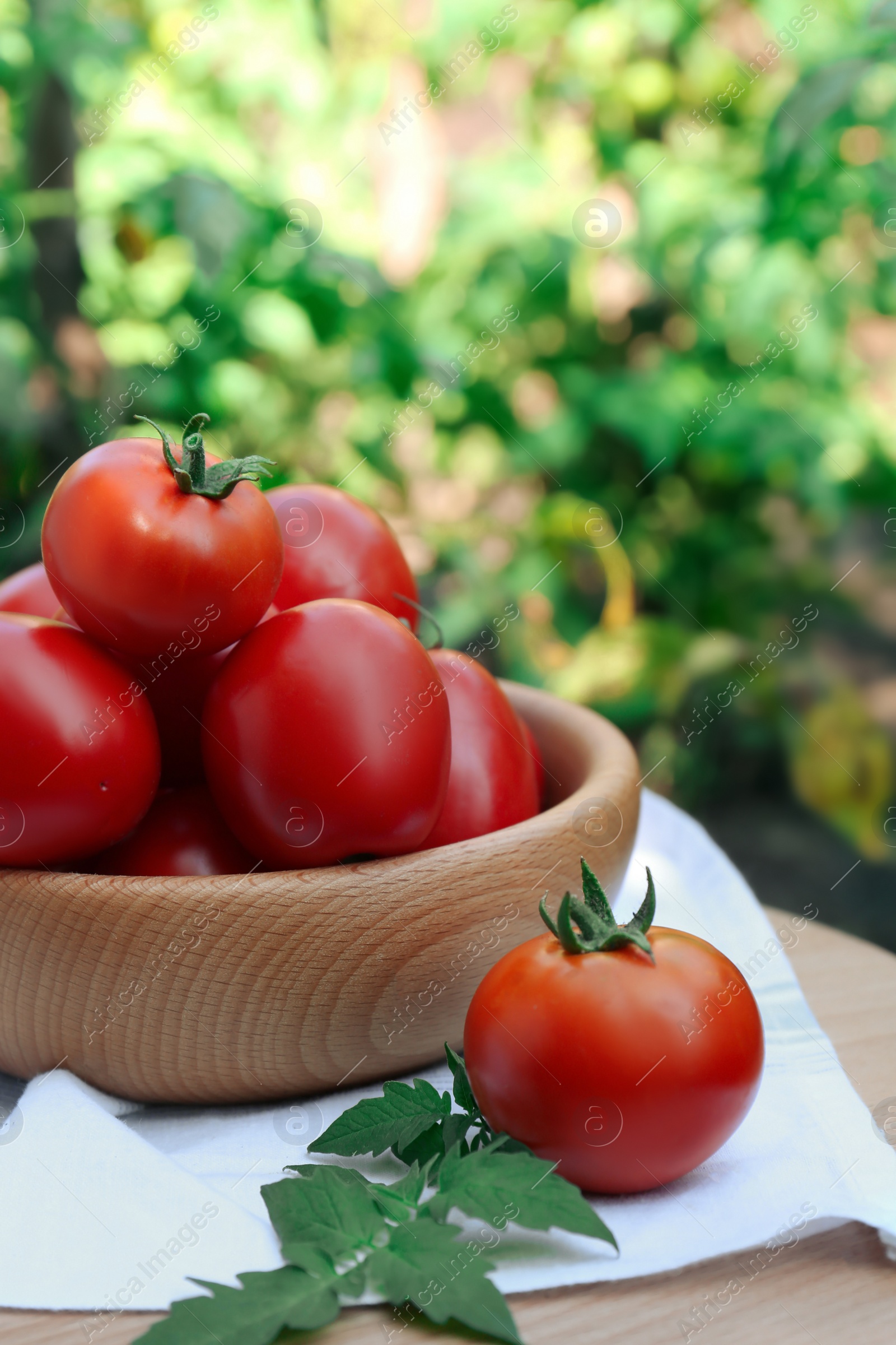 Photo of Bowl and fresh tomatoes on wooden table outdoors