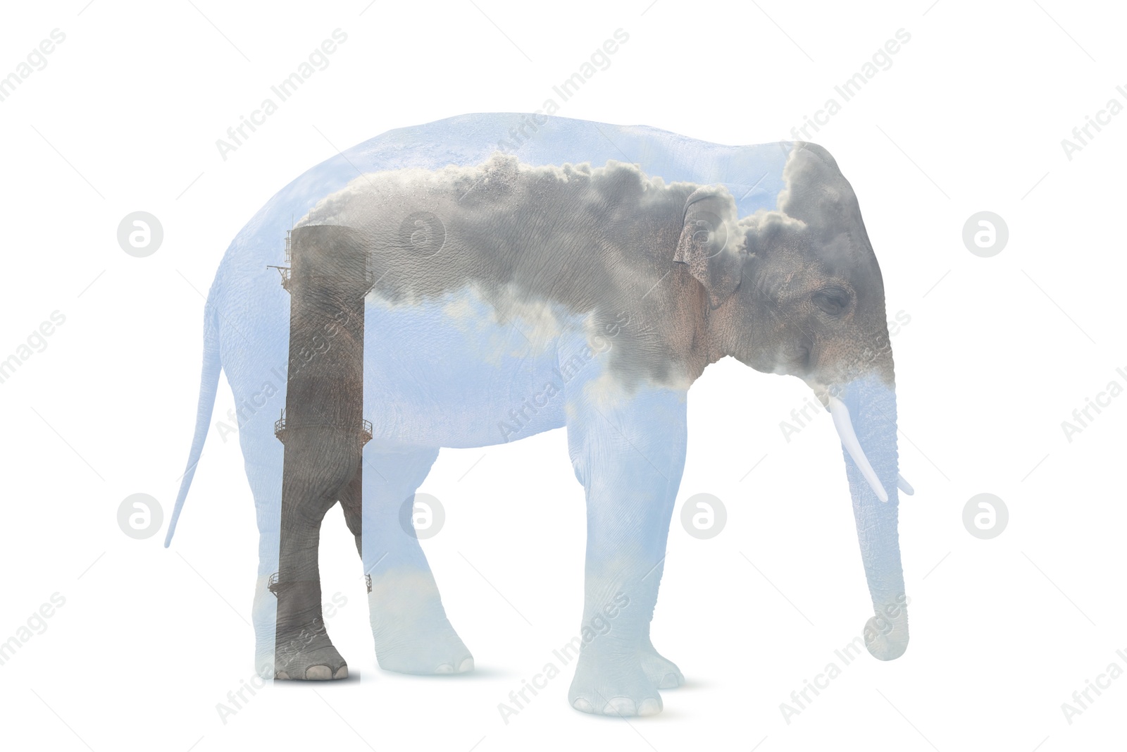 Image of Double exposure of industrial chimney with smoke and elephant. Environmental pollution