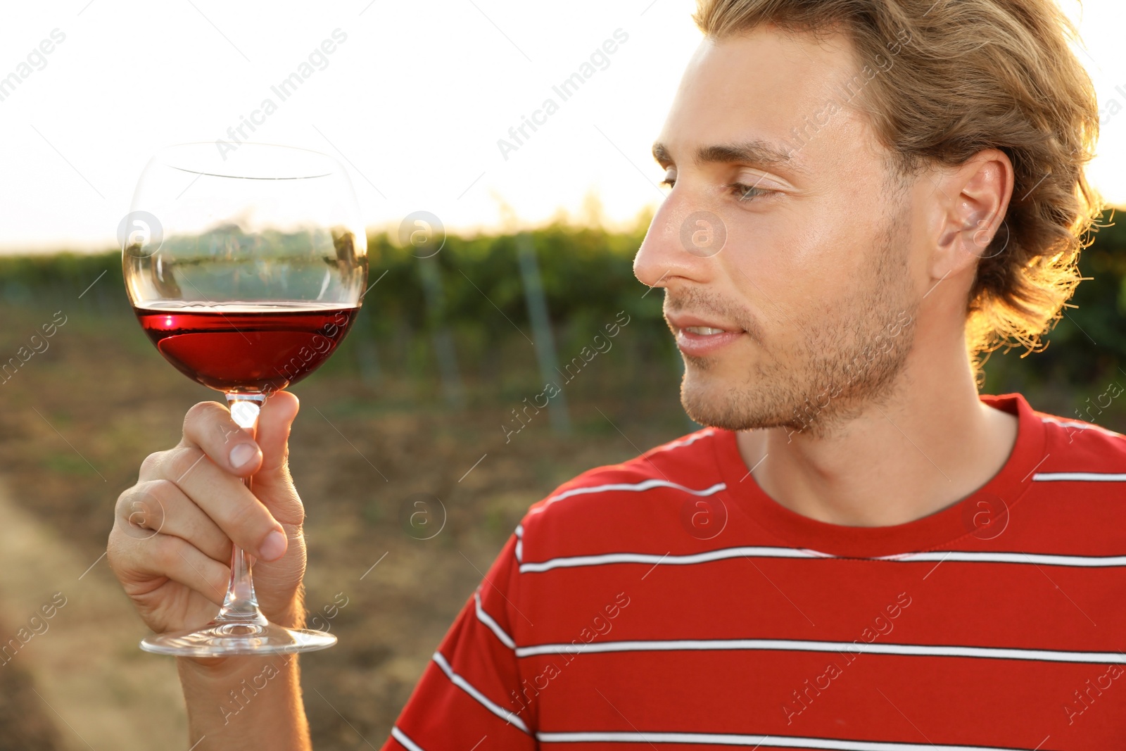 Photo of Young handsome man enjoying wine at vineyard on sunny day