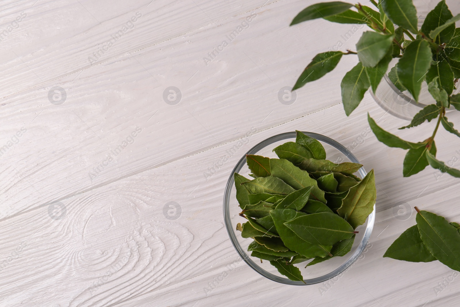 Photo of Fresh green bay leaves on white wooden table, flat lay. Space for text