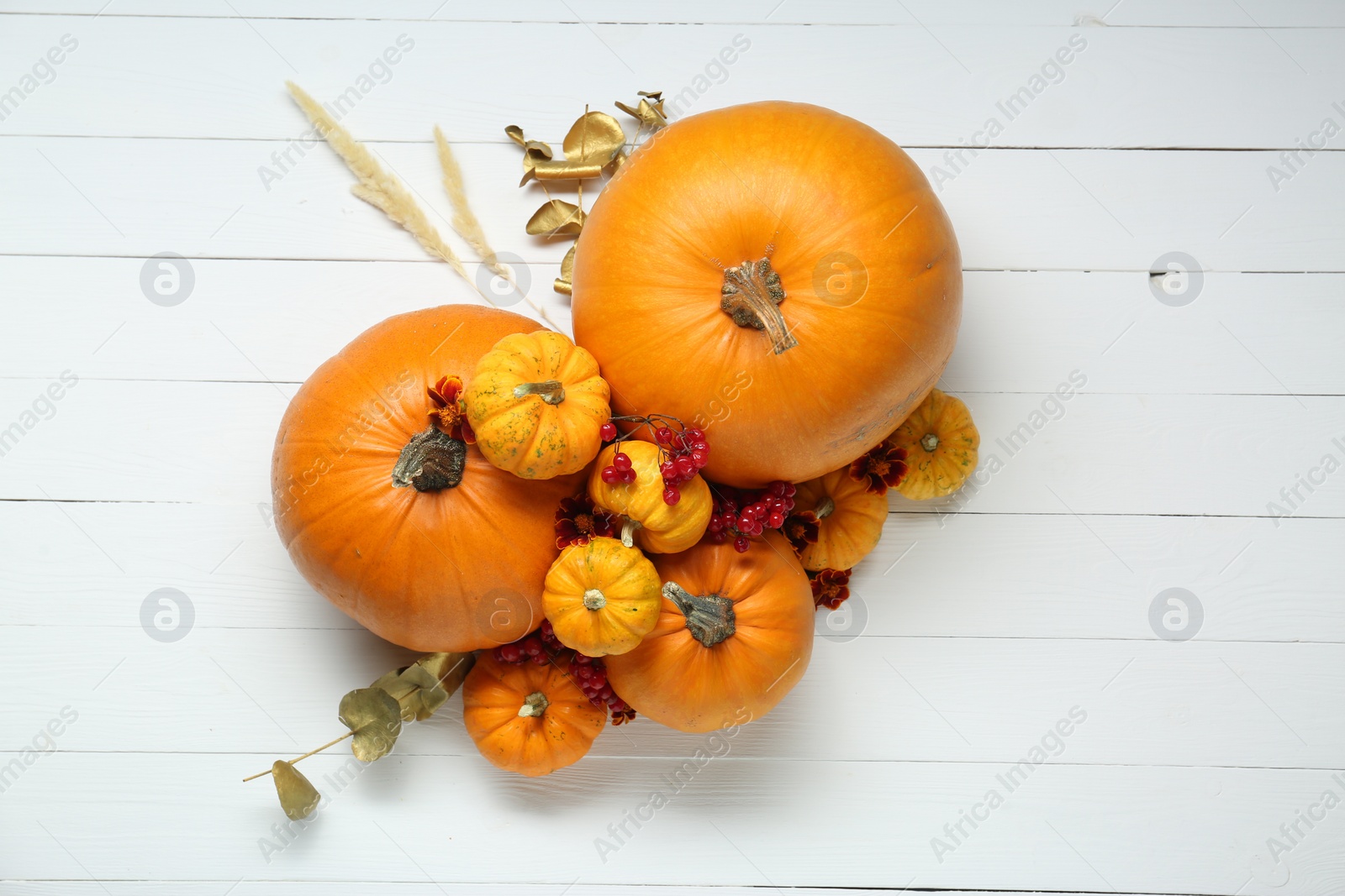 Photo of Thanksgiving day. Flat lay composition with pumpkins on white wooden table