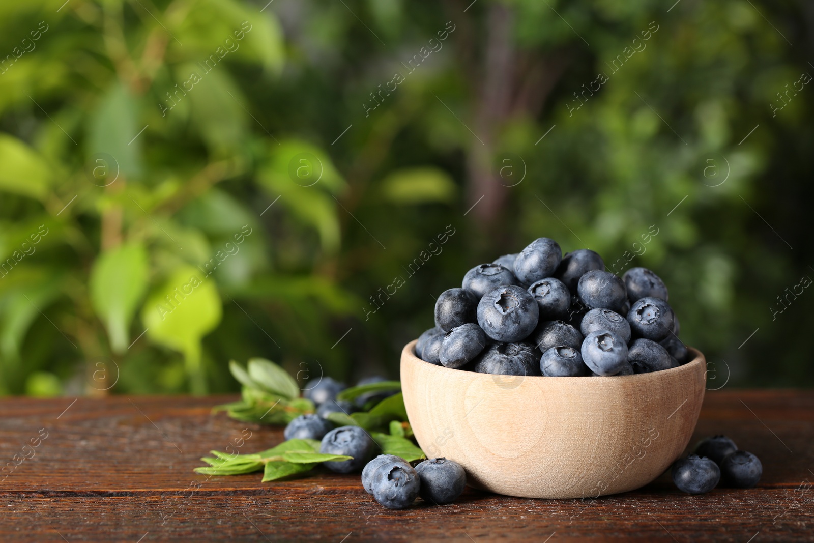 Photo of Tasty fresh blueberries and green leaves on wooden table outdoors, space for text