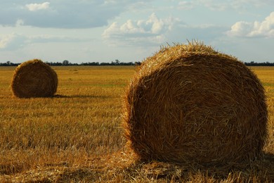 Photo of Beautiful view of agricultural field with hay bales