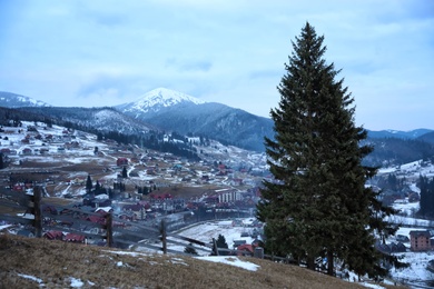 Photo of Fir trees near mountain village covered with snow