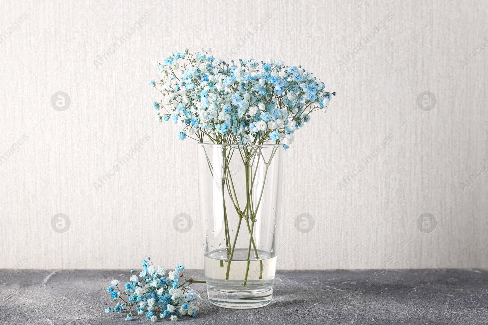 Photo of Beautiful gypsophila flowers in vase on grey textured table against light wall