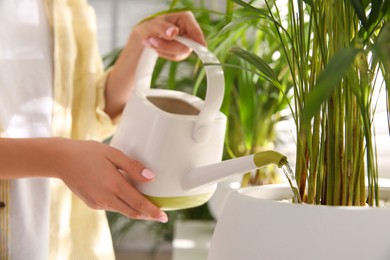 Woman watering house plant near window indoors, closeup