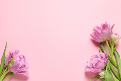 Photo of Beautiful colorful tulip flowers on pink background, top view. Space for text