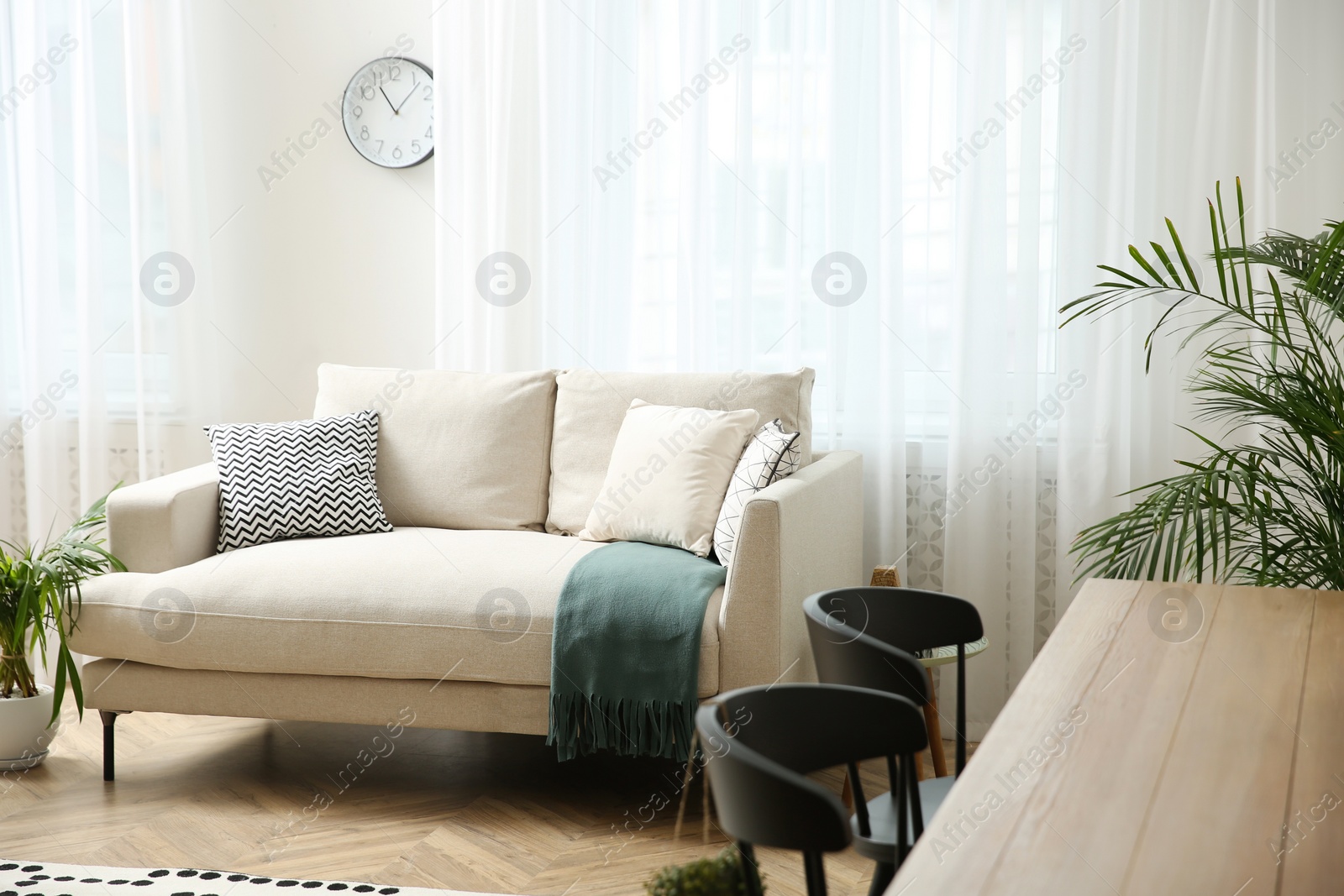 Photo of Stylish living room interior with beautiful house plants