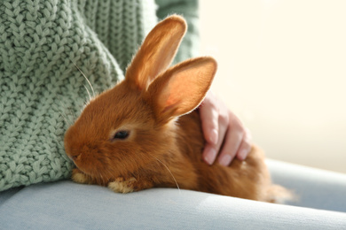 Young woman with adorable rabbit indoors, closeup. Lovely pet