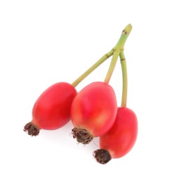 Photo of Ripe rose hip berries on white background