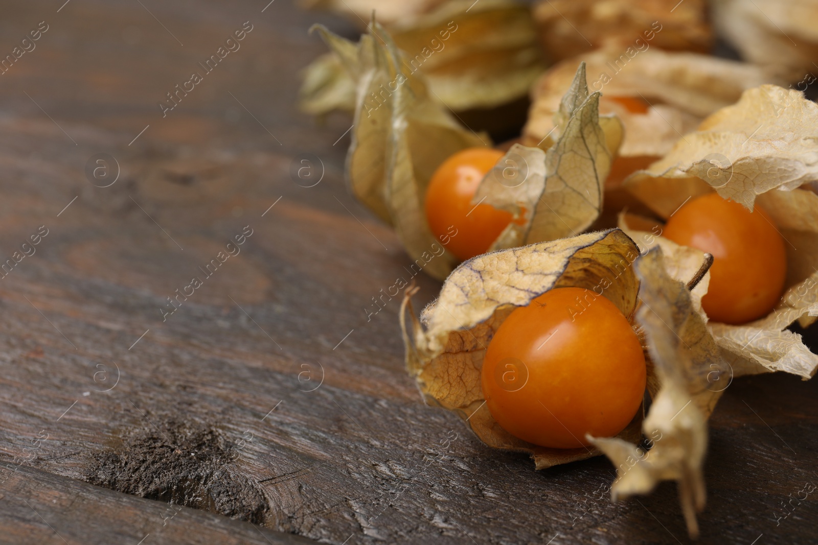 Photo of Ripe physalis fruits with calyxes on wooden table, closeup. Space for text