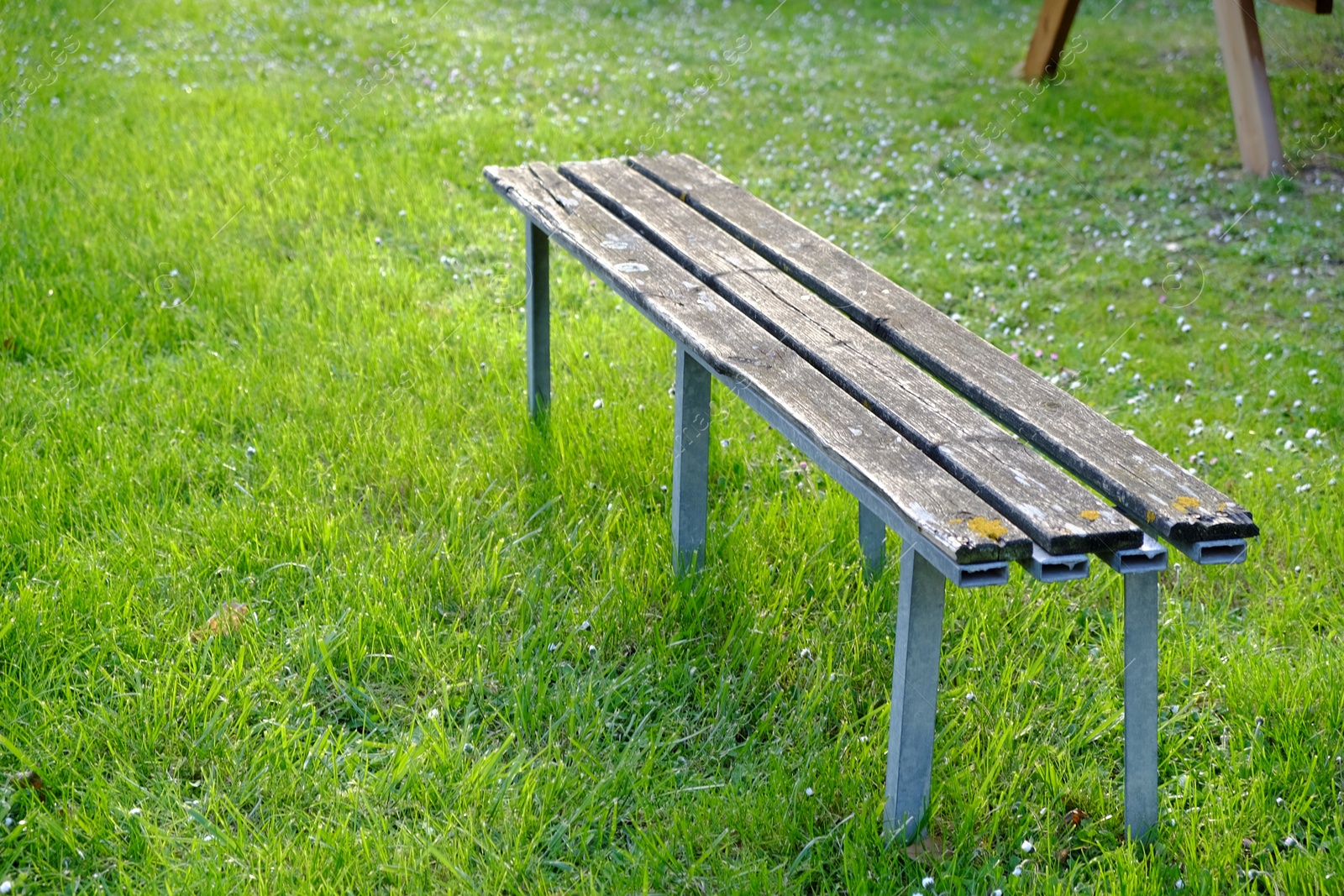 Photo of Wooden bench on green grass outdoors. Space for text