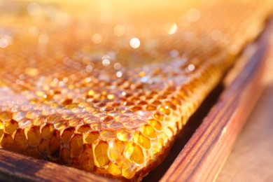 Closeup view of uncapped filled honeycomb frame