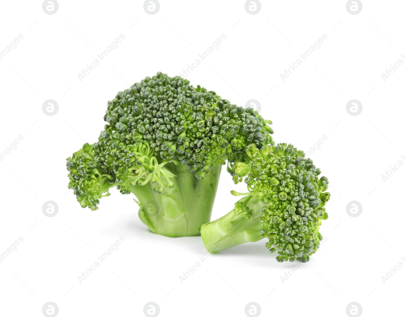 Photo of Fresh green broccoli on white background. Organic food