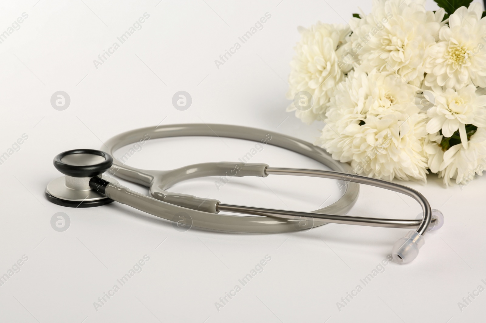 Photo of Stethoscope and chrysanthemum flowers on white background. Happy Doctor's Day